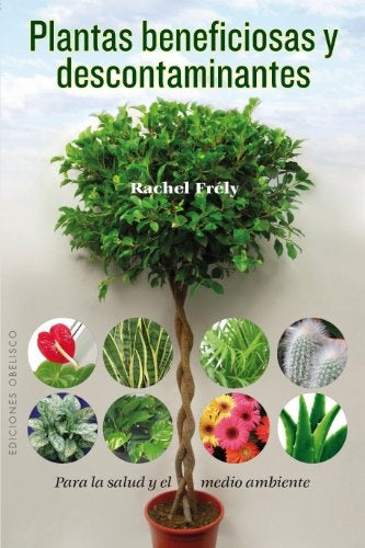 PLANTAS BENEFICIOSAS Y DESCONTAMINANTES | RACHEL FRELY